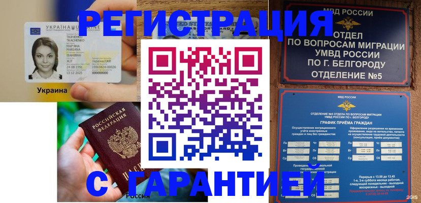 прописка иностранных граждан в Камчатской области